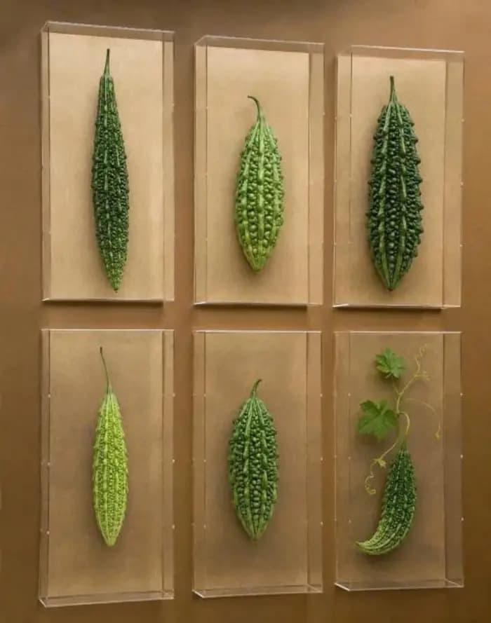 Rau Rừng & Thảo Mộc Nhúng Lẩu